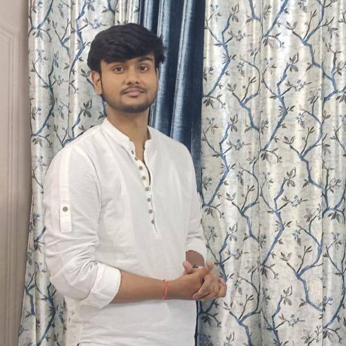 Digital Marketing Agency in Noida